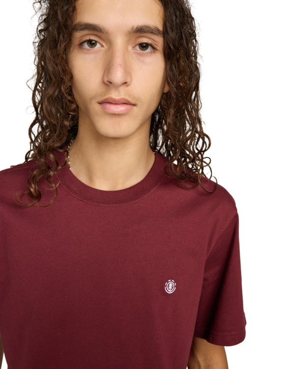4 Icon Embroidery - Camiseta de manga corta para hombre Rojo ELYKT00168 Element