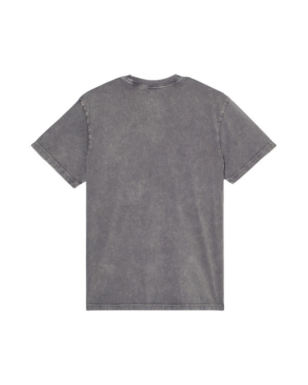 1 Lowcase Pigment Gray ELYKT00177 Element