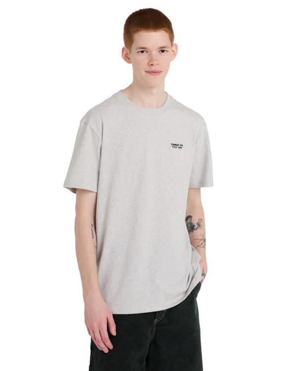 2 Element Co - Short Sleeve T-Shirt for Men Grey ELYKT00206 Element