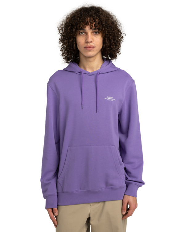 2 Skateboard Co - Pullover Hoodie for Men Purple ELYSF00266 Element