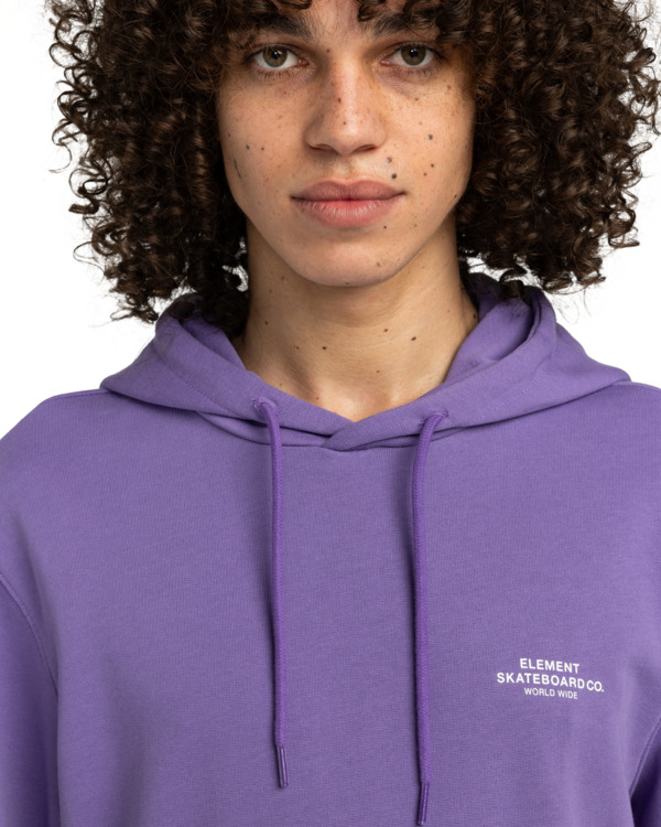 4 Skateboard Co - Pullover Hoodie for Men Purple ELYSF00266 Element