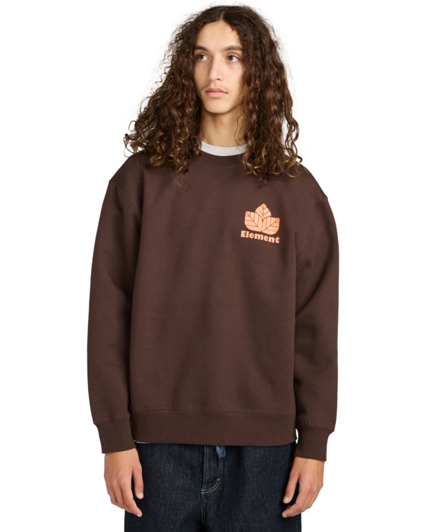 2 Sporting Cr - Sudadera para hombre Marron ELYSF00308 Element