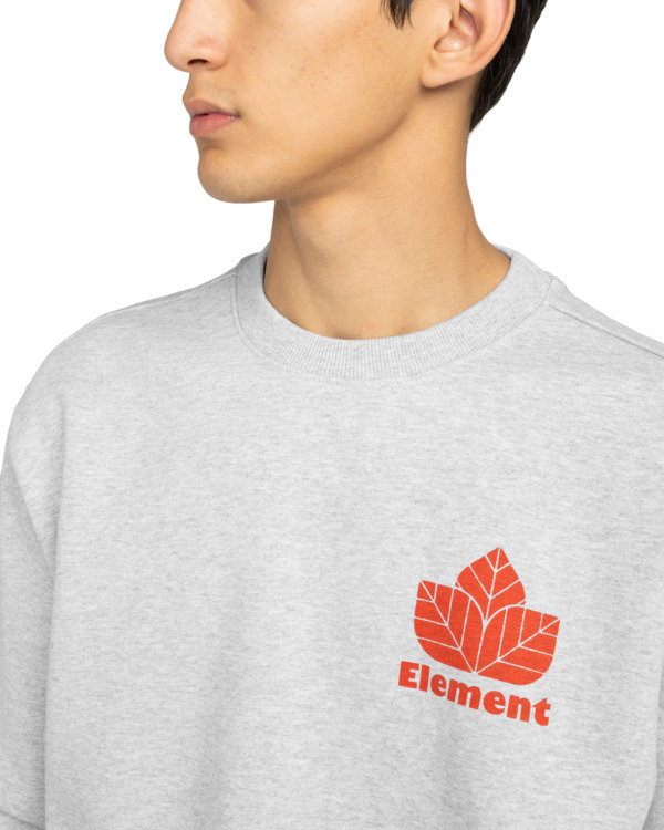 4 Sporting Cr - Felpa da Uomo Gray ELYSF00308 Element
