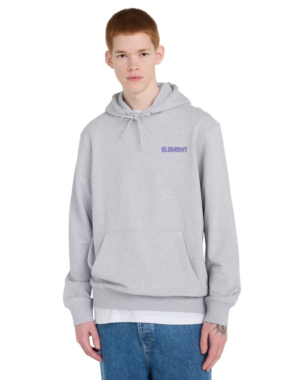 2 Swamps - Hoodie for Men Grey ELYSF00328 Element