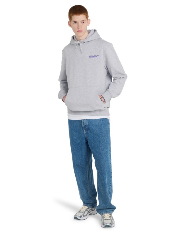 5 Swamps - Hoodie for Men Grey ELYSF00328 Element