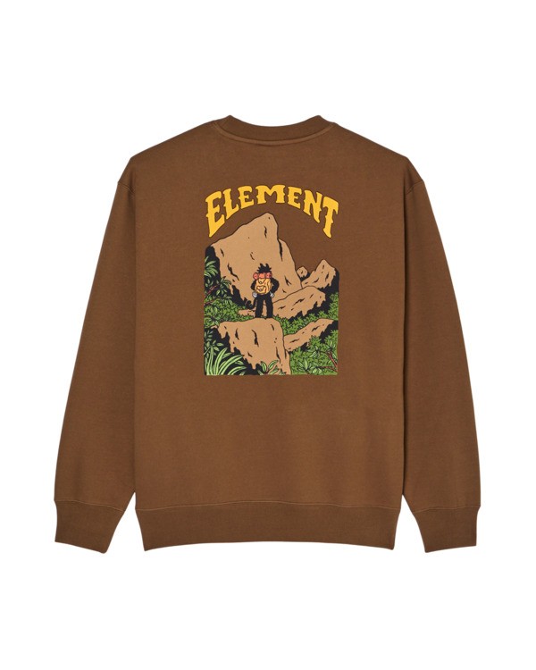 1 Summit Braun ELYSF00378 Element