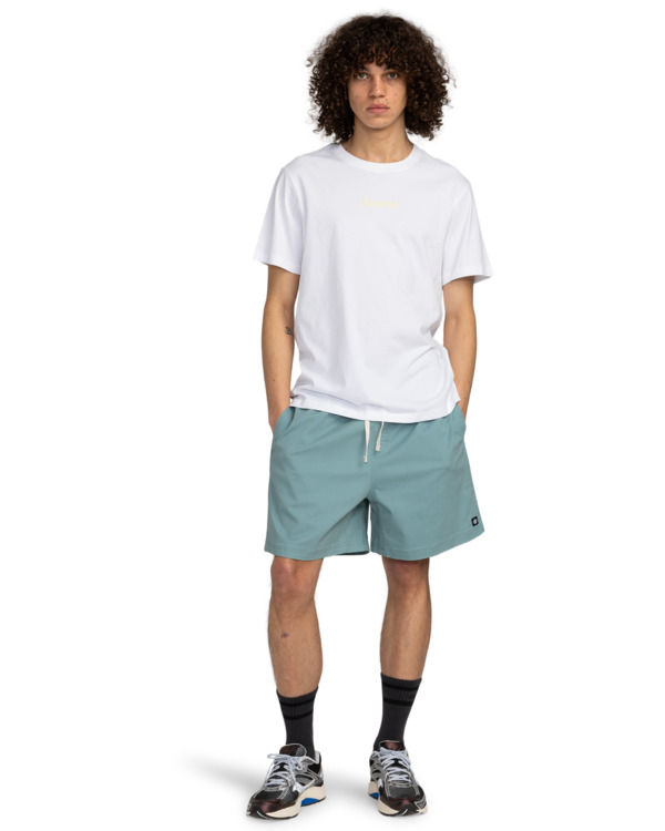 6 Chillin Classic 17" - Short de marche à taille élastique pour Homme Bleu ELYWS00133 Element