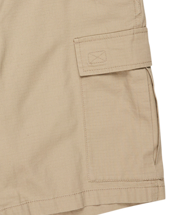 2 Legion 21" - Short de marche cargo pour Homme Beige ELYWS00137 Element