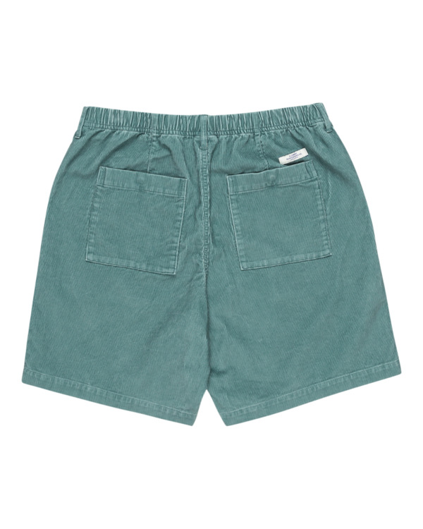 1 Solace 18.8" - Chino Short voor Heren Blue ELYWS00142 Element