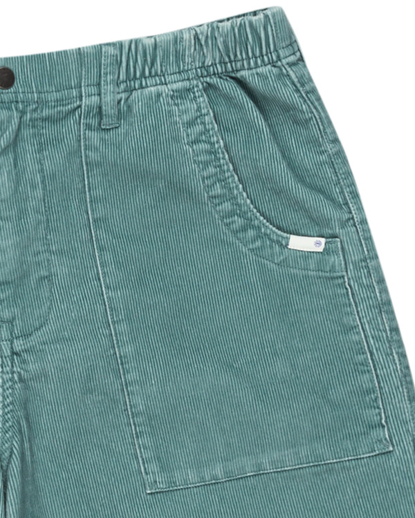 2 Solace 18.8" - Chino Short voor Heren Blue ELYWS00142 Element