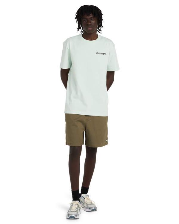 6 Regular Ewaist - Bermuda Chino da Uomo Green ELYWS00153 Element