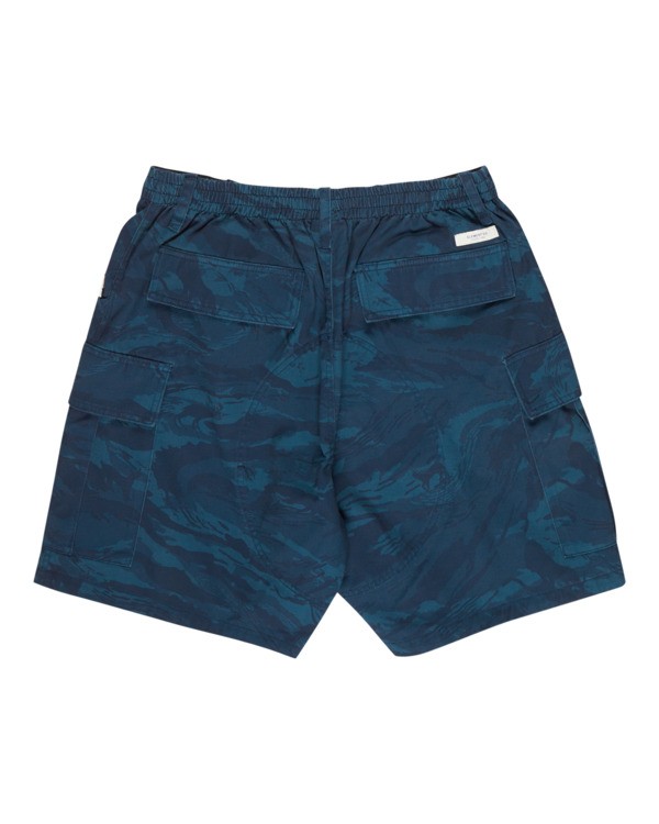 1 Big - Cargo Shorts for Men Black ELYWS00156 Element