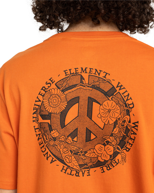 4 Ancient Universe - Camiseta de manga corta para Hombre Naranja ELYZT00498 Element