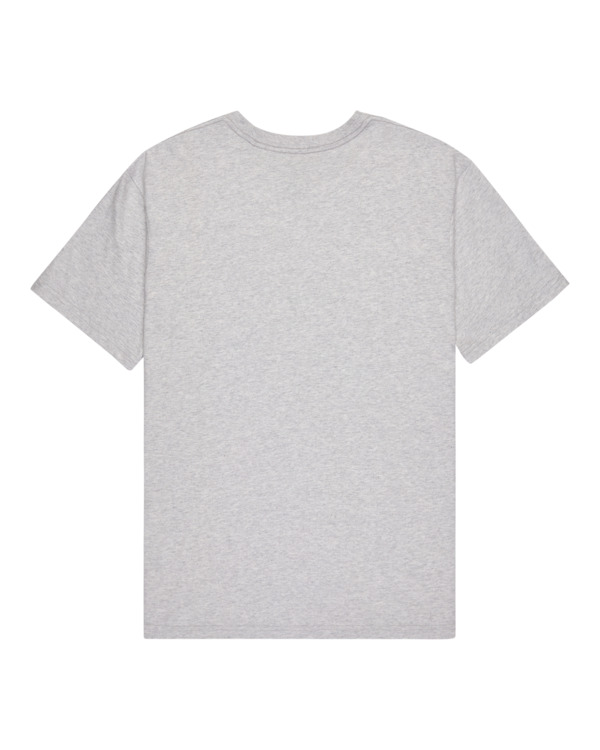 1 Element Co - T-shirt met korte mouwen voor Heren Gray ELYZT00603 Element