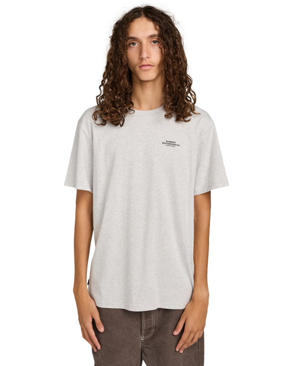 3 Element Co - T-shirt met korte mouwen voor Heren Gray ELYZT00603 Element
