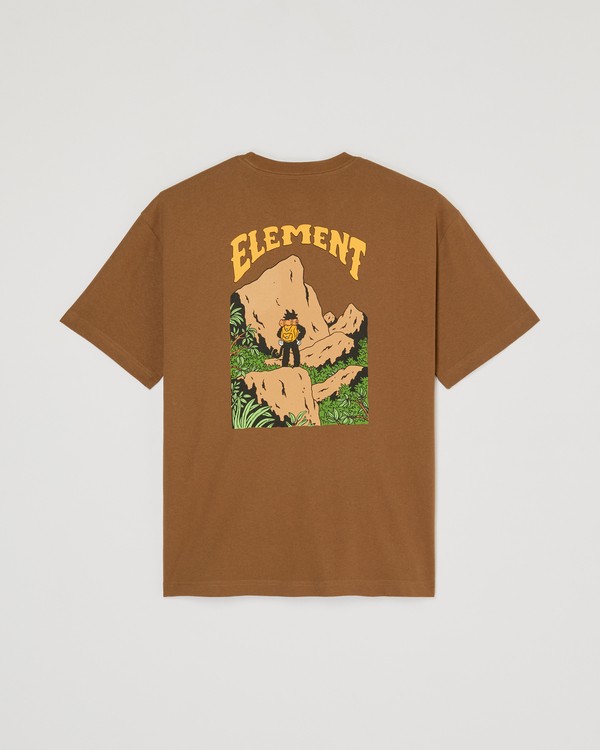 1 Summit Brown ELYZT00707 Element