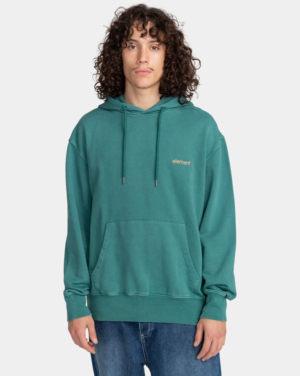 2 Cornell 3.0 - Sweat à capuche Vert F1HOB1ELF2 Element