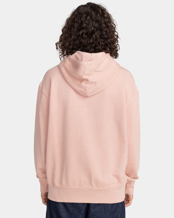 5 Cornell 3.0 - Sweat à capuche  F1HOB1ELF2 Element
