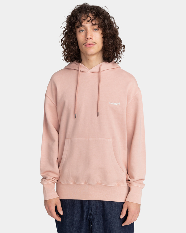 2 Cornell 3.0 - Sweat à capuche  F1HOB1ELF2 Element