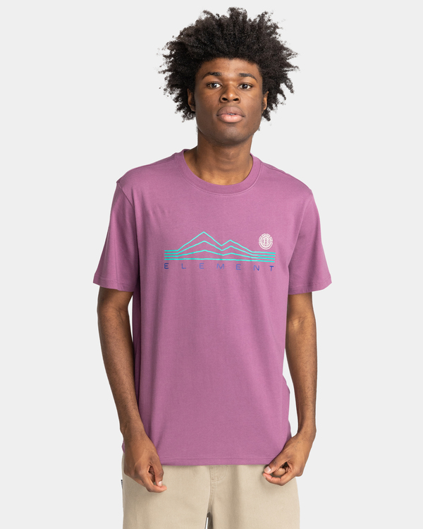 2 Ridgeline - Bio-T-Shirt für Männer  F1SSK8ELF2 Element