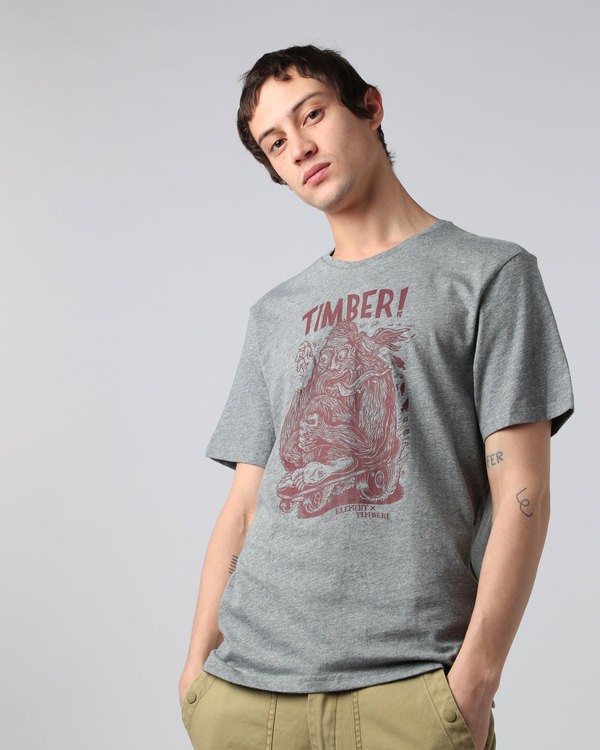 1 Joyride Ss - Tee Shirt for Men  H1SSF6ELP8 Element