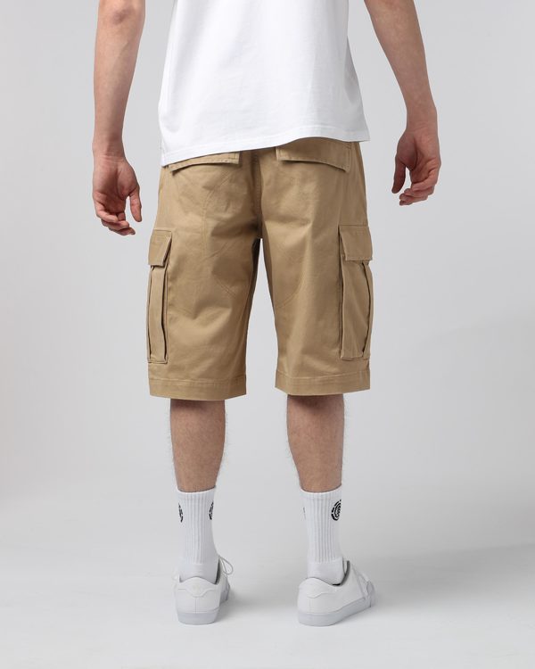 4 Legion Cargo Wk - Walkshort for Men  H1WKA8ELP8 Element