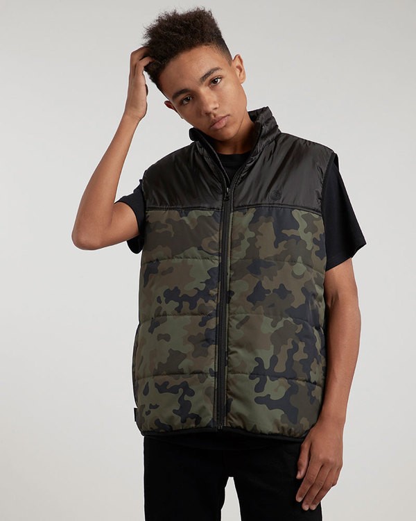 1 Puff Vest Tw - vestes pour Homme  L1JKB1ELF8 Element