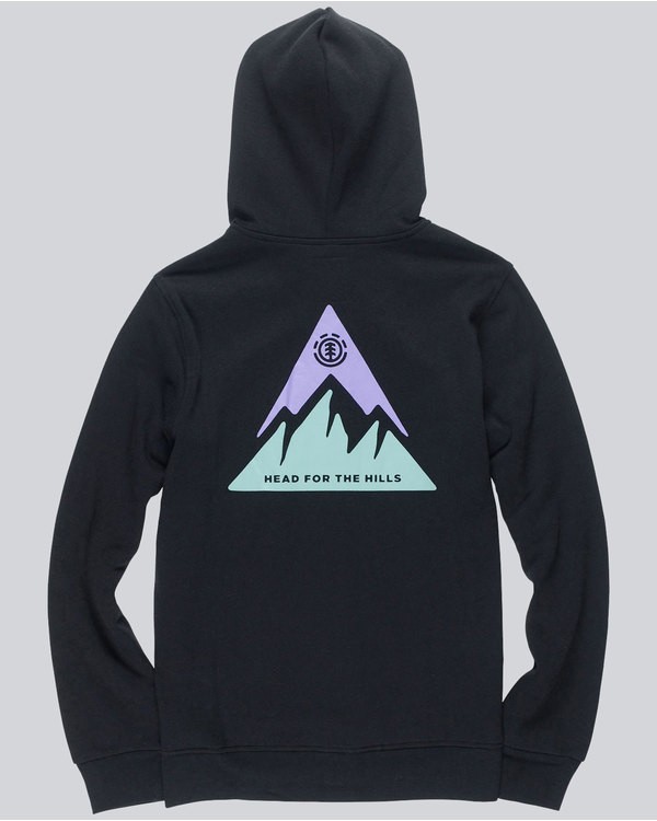 1 Delta Zip Hood - sweat pour Homme  L1ZHA9ELF8 Element