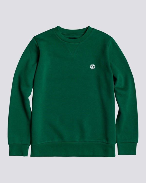 0 Cornell Classic - Sweatshirt for Boys Green L2CRA1ELF8 Element