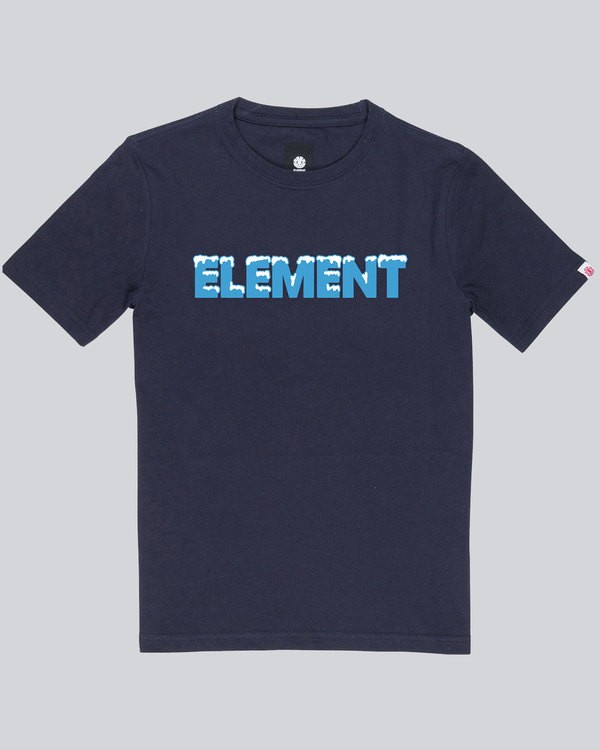 0 Snow Ss Tee Boy 1 - Tee Shirt for Boys  L2SSC7ELF8 Element