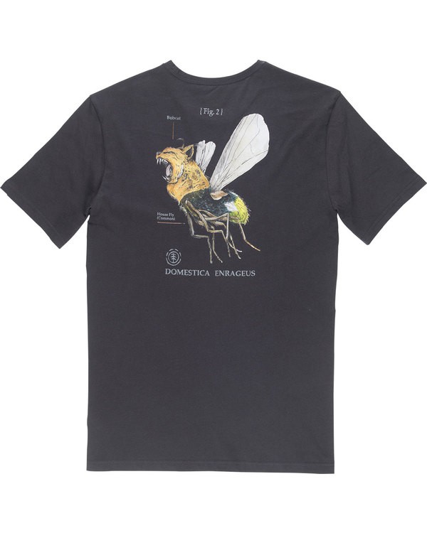 5 Domestica Ss - Tee Shirt for Men  N1SSD6ELP9 Element