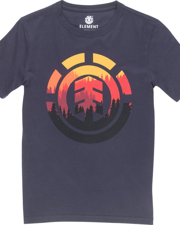 0 Glimpse Icon Ss Boy - camiseta para Chicos  N2SSA2ELP9 Element