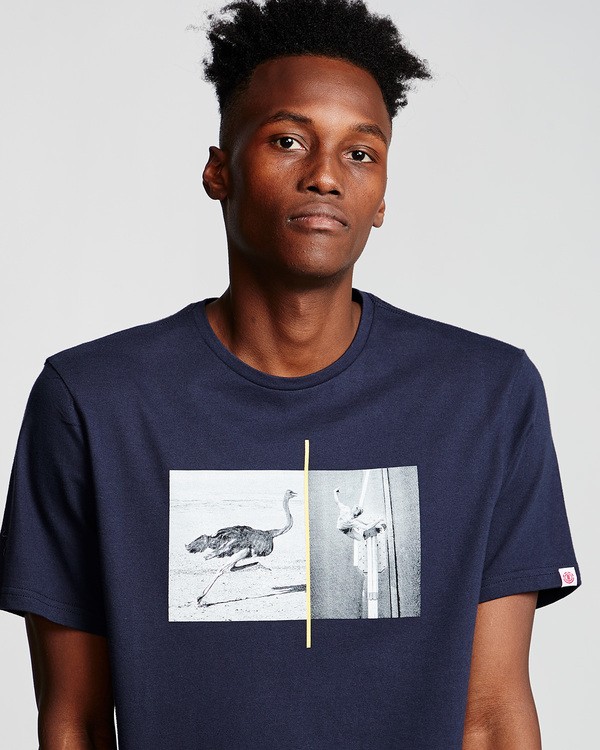 1 Ostrich Apse - T-Shirt Grey Q1SSF2ELF9 Element