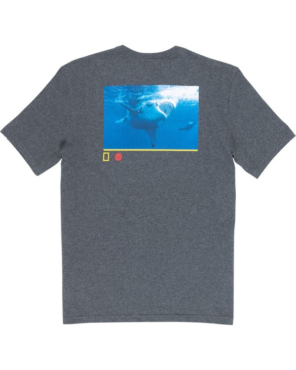 4 Current - Camiseta para Hombre  Q1SSF6ELF9 Element