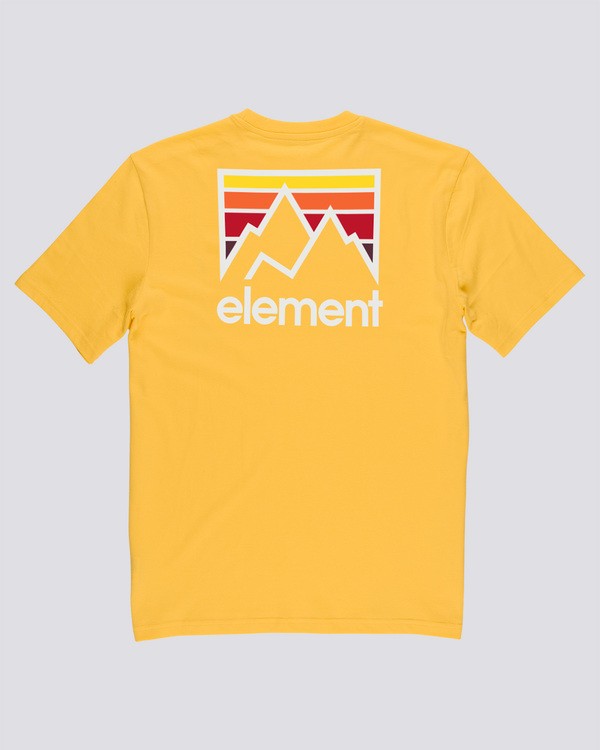 1 JOINT SS Yellow Q1SSI7ELF9 Element