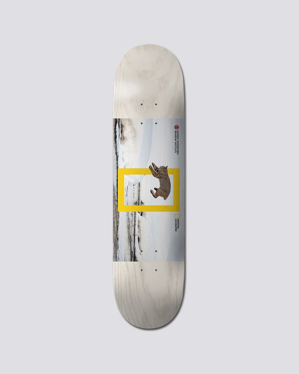 0 Nat Geo Westgate Cat - Deck  Q4DCA6ELF9 Element