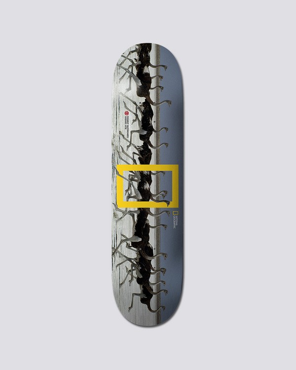 0 Nat Geo Madars Ostr - Deck Multi Q4DCA7ELF9 Element
