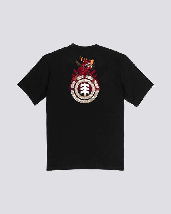 1 Florian - T-Shirt manches courtes en coton biologique pour Homme Noir S1SSG1ELP0 Element