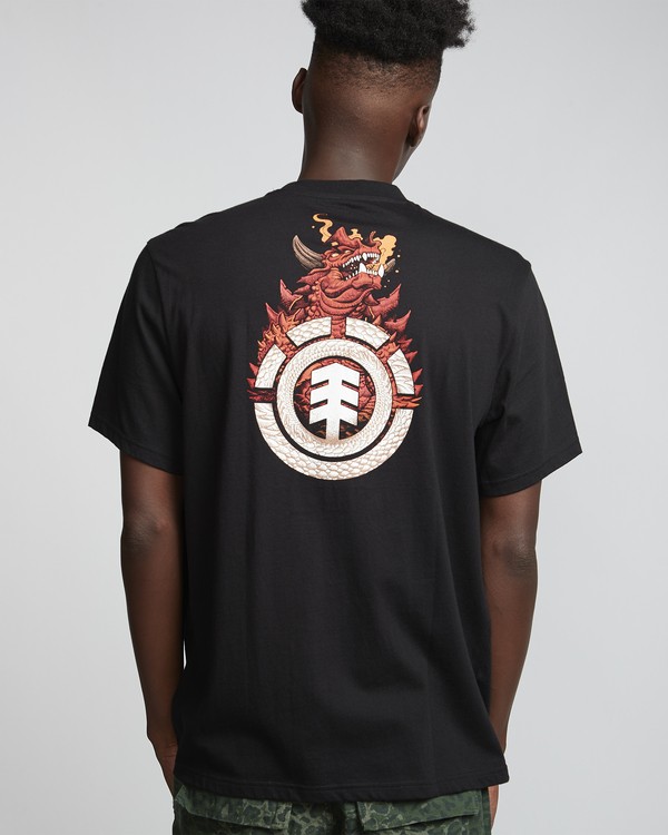 2 Florian - T-Shirt manches courtes en coton biologique pour Homme Noir S1SSG1ELP0 Element