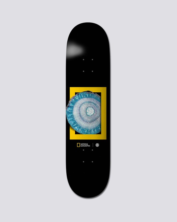 0 National Geographic 8.25" Nat Geo Molecule - Skateboard Deck  S4DCB1ELP0 Element