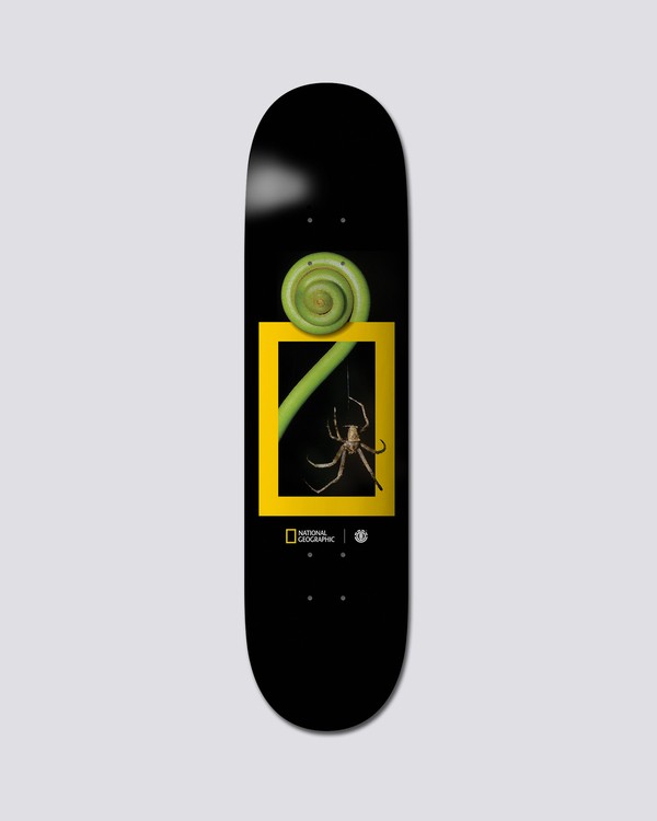 0 National Geographic 8" Nat Geo Spider - Tablas de skate  S4DCB2ELP0 Element