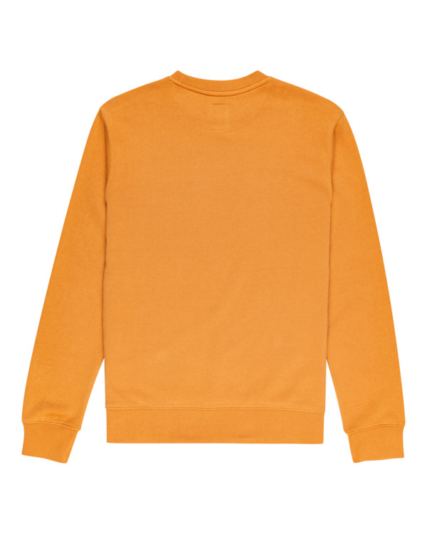 1 Blazin - Sweatshirt for Men Brown U1CRA1ELF0 Element