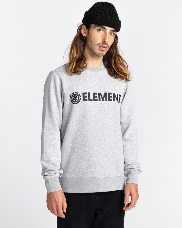 1 Blazin - Sweatshirt für Männer Grau U1CRA1ELF0 Element