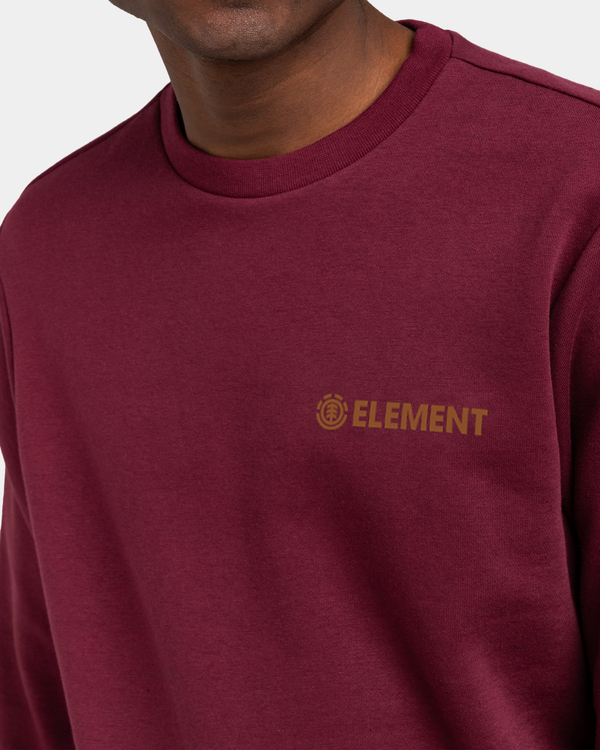 2 Blazin Chest - Sweatshirt für Männer Rot U1CRA3ELF0 Element