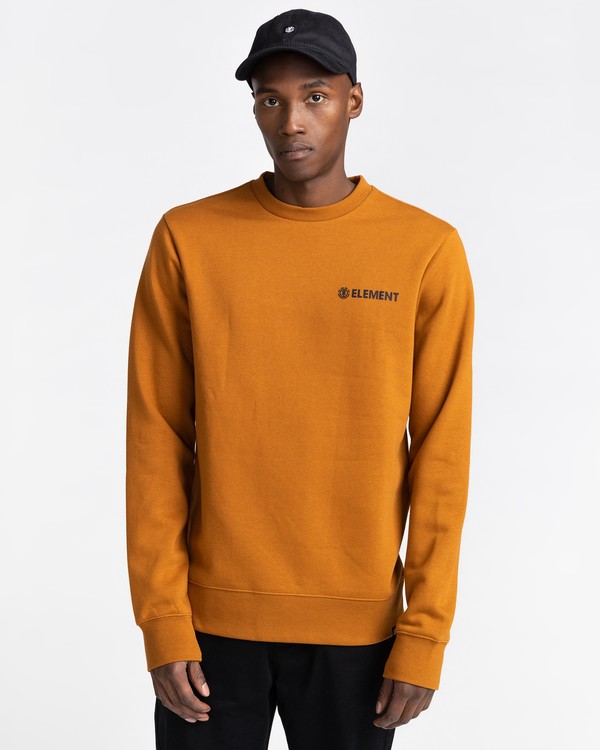 1 Blazin Chest - Sweatshirt for Men Brown U1CRA3ELF0 Element
