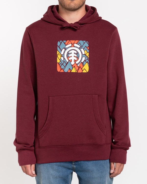 element, Palette - Sudadera con capucha para Hombre, VINTAGE RED (1715) 1 Palette - Sudadera con capucha para Hombre Rojo U1HOB7ELF0 Element