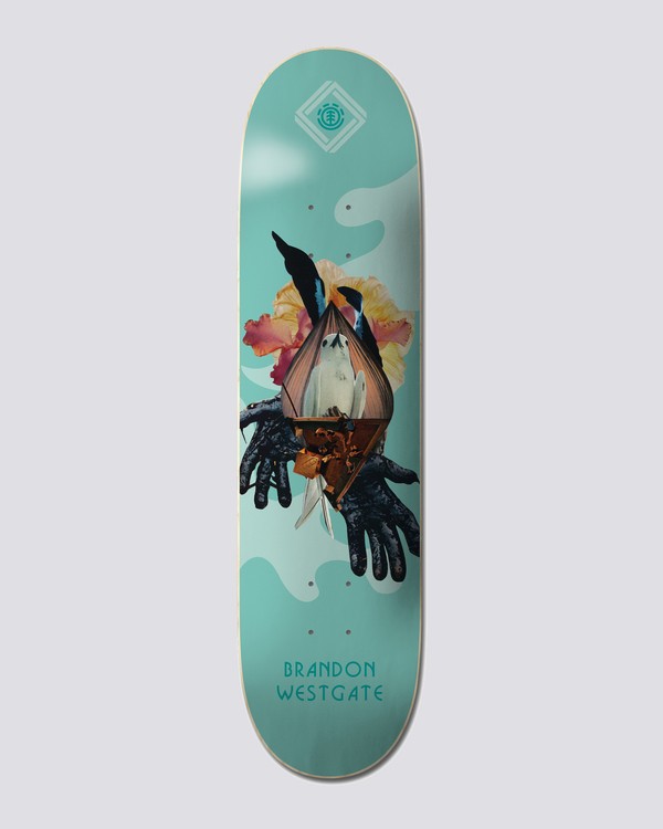 0 8.38" Cut Paste Loy - Planche de skate Multi U4DCB8ELF0 Element