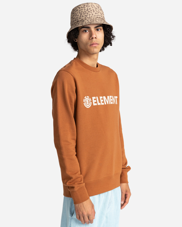 2 Blazin - Sweatshirt for Men Brown W1CRB6ELP1 Element