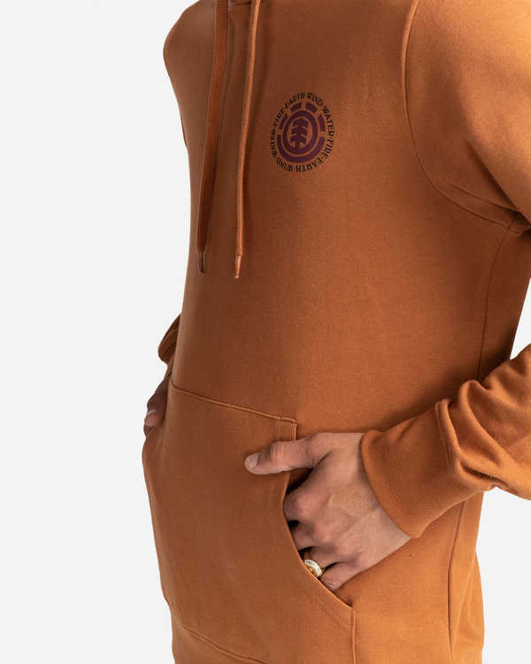 4 Seal - Sweat à capuche pour Homme Marron W1HOB8ELP1 Element