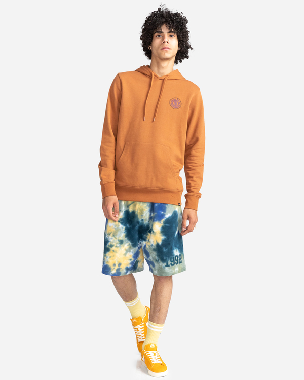 5 Seal - Sweat à capuche pour Homme Marron W1HOB8ELP1 Element